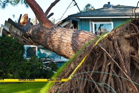 storm damage insurance claims