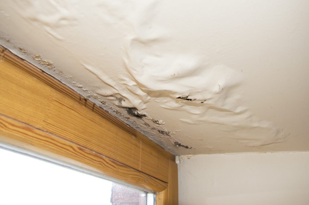 The Best Way to Handle a Homeowners Insurance Claim After Water Damage