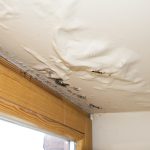 The Best Way to Handle a Homeowners Insurance Claim After Water Damage